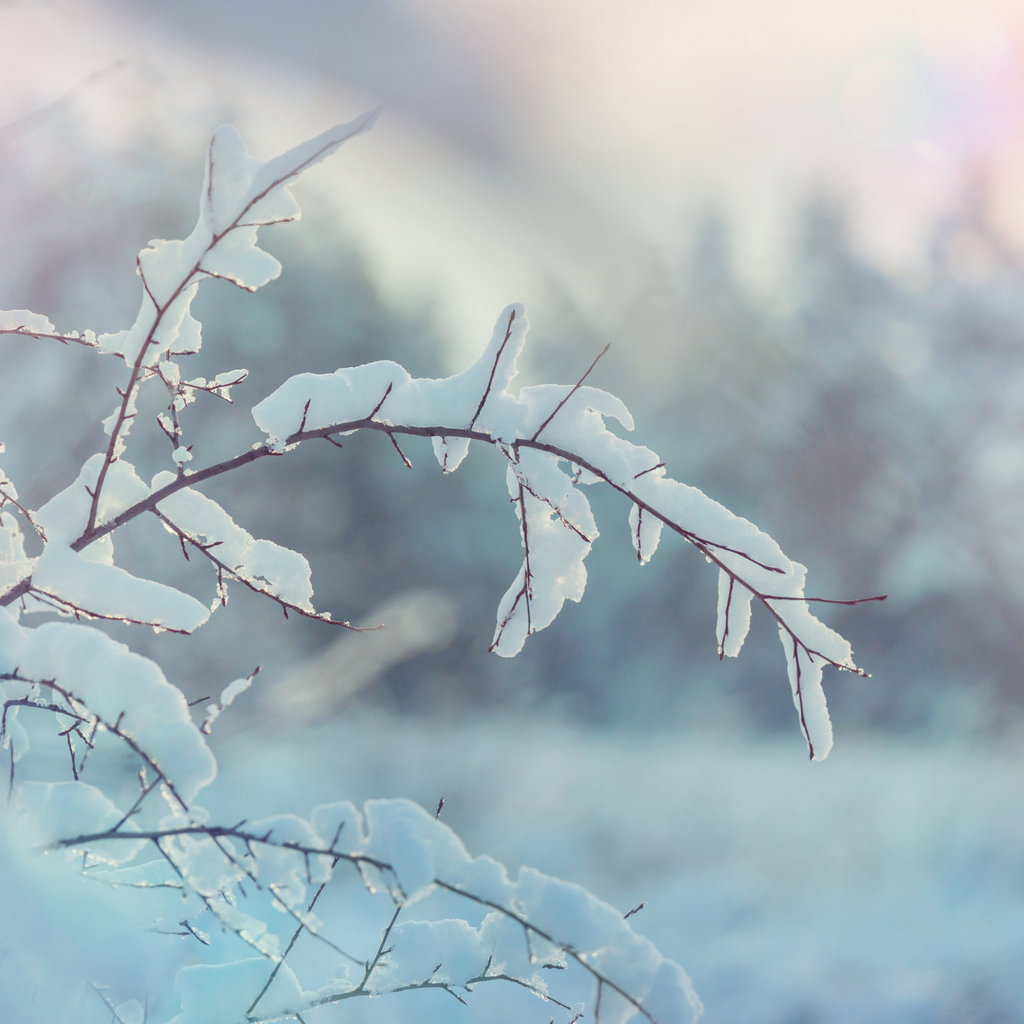 Welcoming the Creative Silence: Winter's Spiritual Symphony and A Course in Miracles.