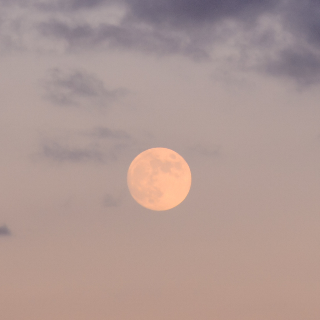 Full Moon in Leo Ritual, 28th of January, 2021