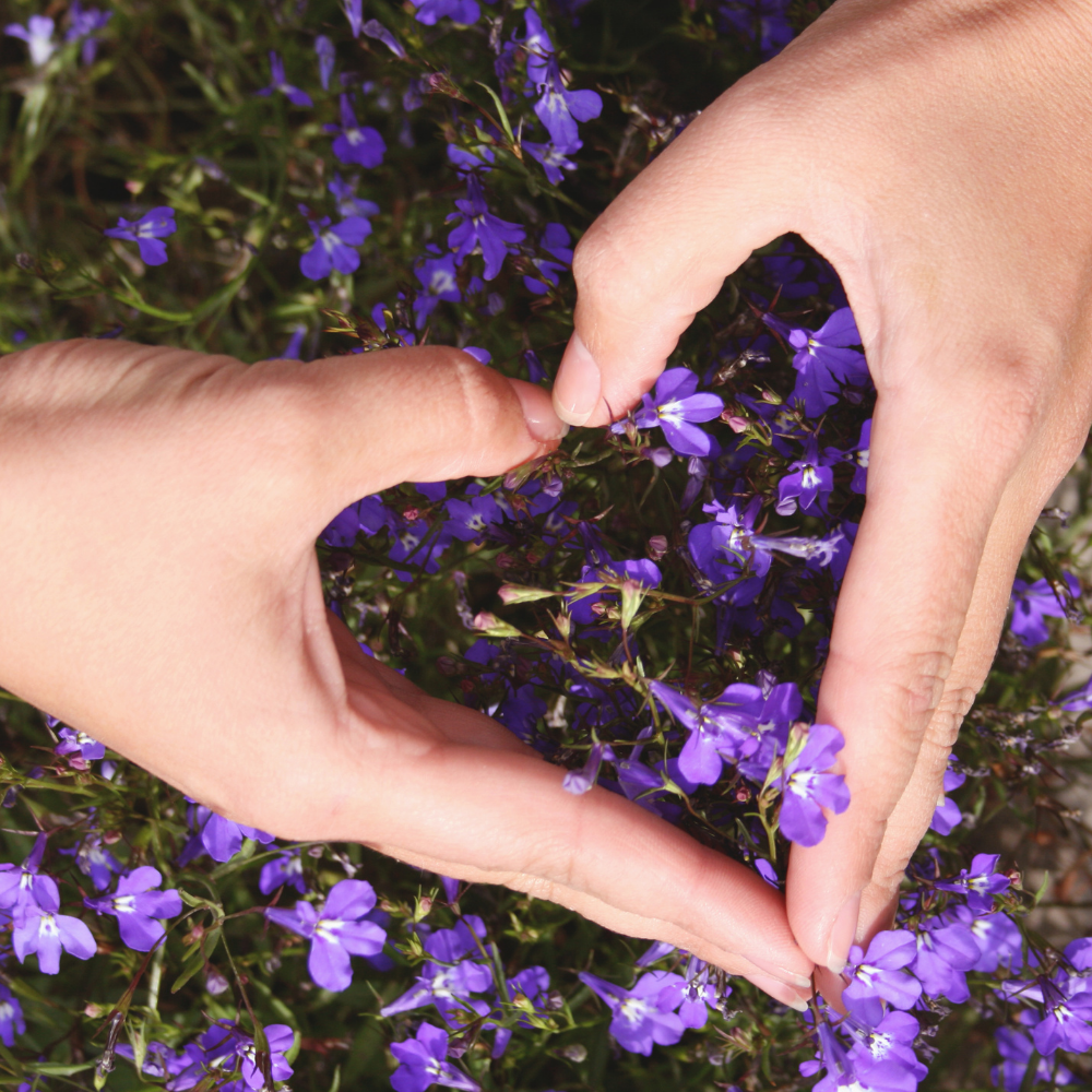 10 Steps to Self Love this Valentines -By Michelle Greaves